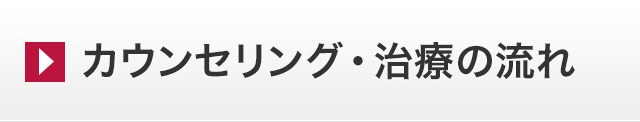 カウンセリング・治療の流れ